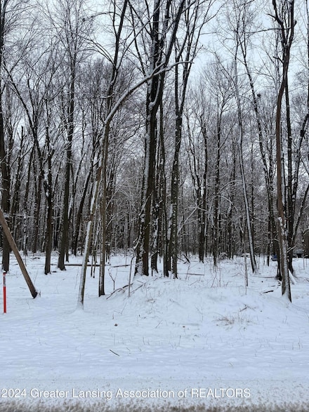 0 Willoughby Rd, Mason, MI 48854