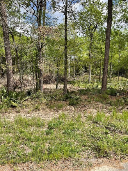 N/A Spindle Oaks Dr, Conroe, TX 77385