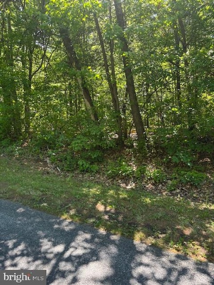 0 River Rd, Greensboro, MD 21639