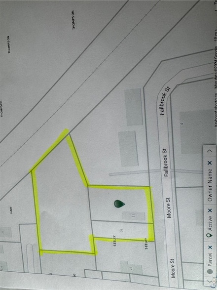 29-31 Moore St, Waterloo, NY 14456