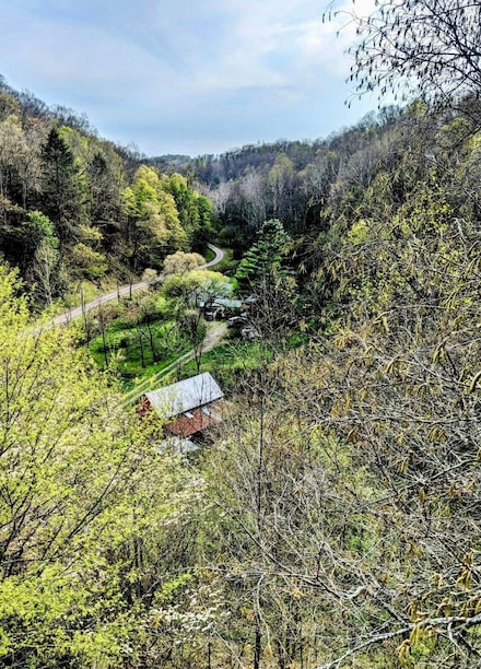 910 Straight Creek, Walton, WV 25286