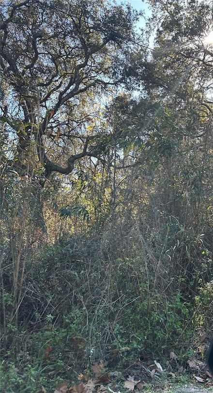 0 SE 19th St, Silver Springs, FL 34488
