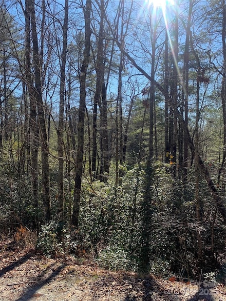 TBD Oak Laurel Rd Unit 9, Brevard, NC 28712