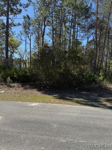 1458 W Landmark Dr, Citrus Springs, FL 34434