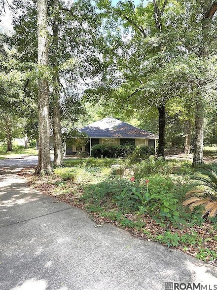 8081 Raleigh Dr, Ethel, LA 70730