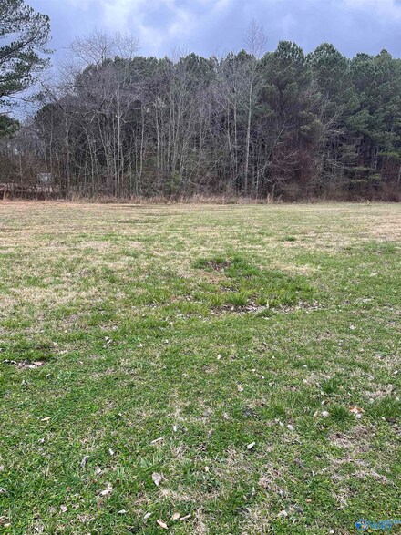 Lot 1 Summer Tree Way NE, Arab, AL 35016