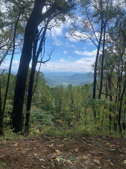 0 Slings Gap Rd, Bent Mountain, VA 24059