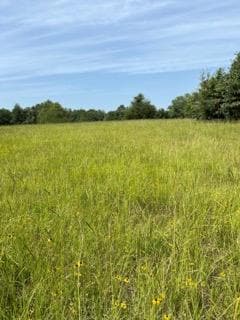 TBD County Road 2610, Tenn Colony, TX 75861