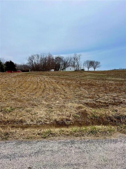 8706 Le Pere School Rd, Stookey Township, IL 62260