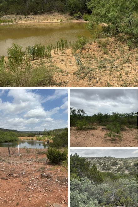 0 Texas 208, Robert Lee, TX 76945