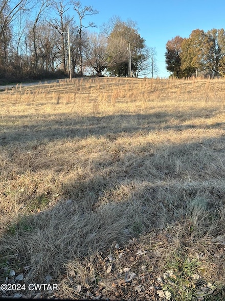 0 Mitchell Ln, Halls, TN 38040