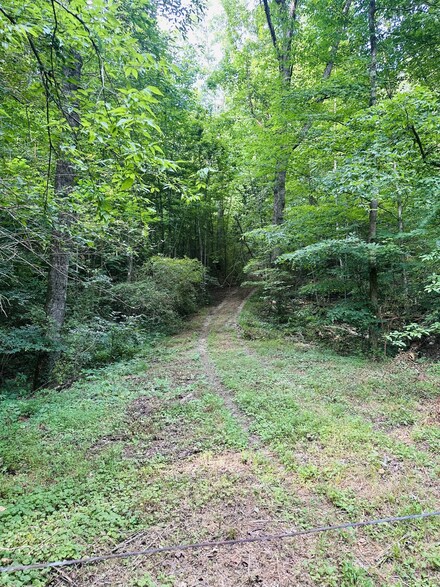 0 Higdon Rd, Whitwell, TN 37397