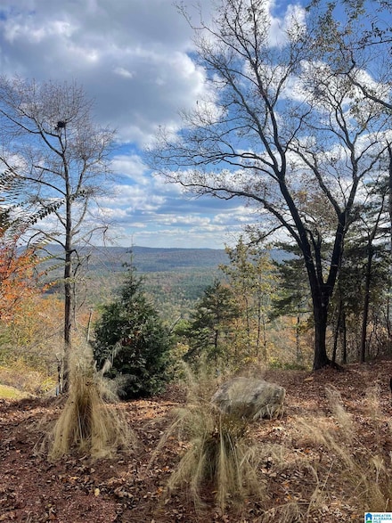 0 Lakeview Ridge, Vandiver, AL 35176