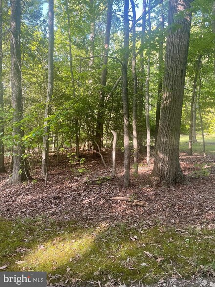 0 Mathias Point Rd Unit VAKG2003392, King George, VA 22485
