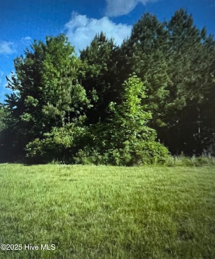 150 Branch Bay Ct, Hertford, NC 27944