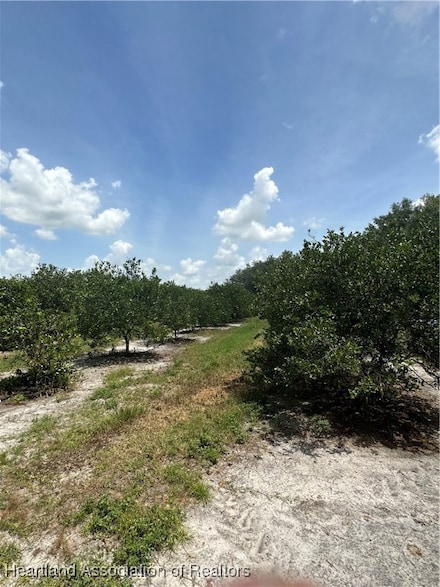 0 Prescott Rd, Zolfo Springs, FL 33890