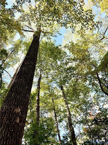 0 Broad Street Rd Unit 2516059, Gum Spring, VA 23065