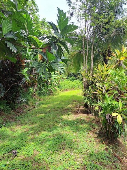 612 Bo Don Alonso, Utuado, PR 00641