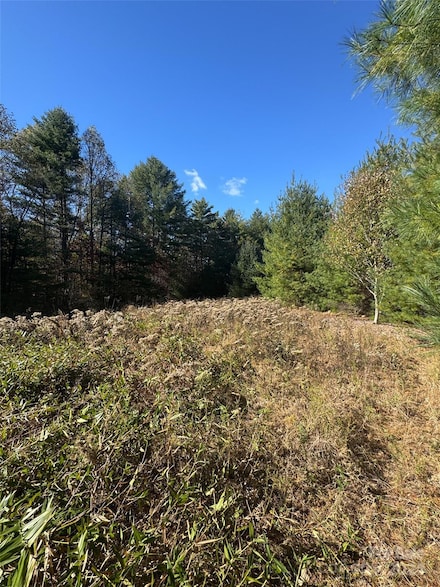 999 Stoneway Dr, Cedar Mountain, NC 28718