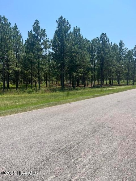 Lot B Shaver Ln, Jackson Springs, NC 27281