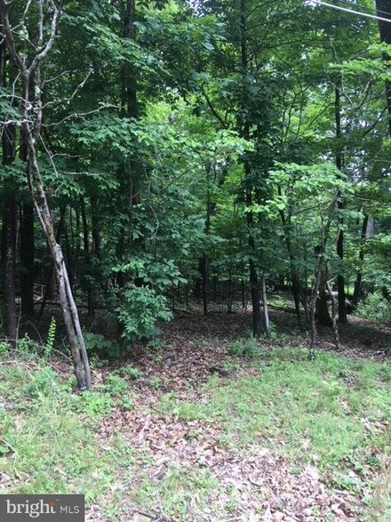 0 Cedar Ln Unit 1002084256, Buckmarsh, VA 20135
