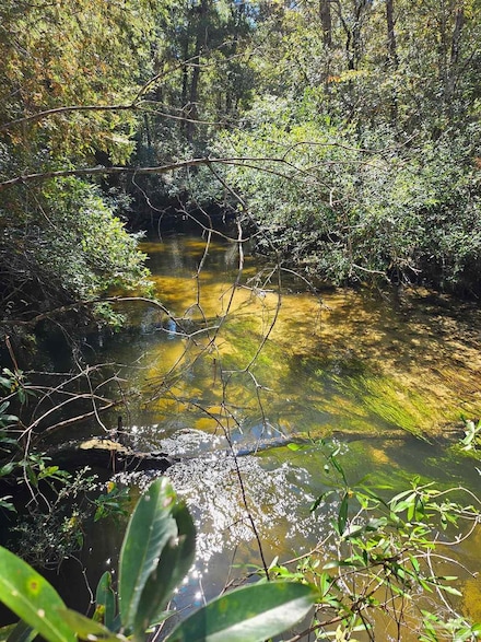 4957 Timothy Twitchell Dr, Milton, FL 32583