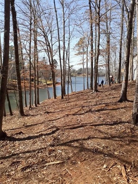 000 Waterside Pointe, Abbeville, SC 29620