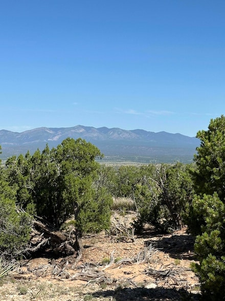 10 San Miguel Trail, Mountainair, NM 87036