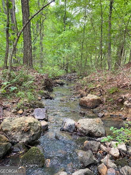 0 Fire Tower Rd NE Unit 10512439, Rome, GA 30161
