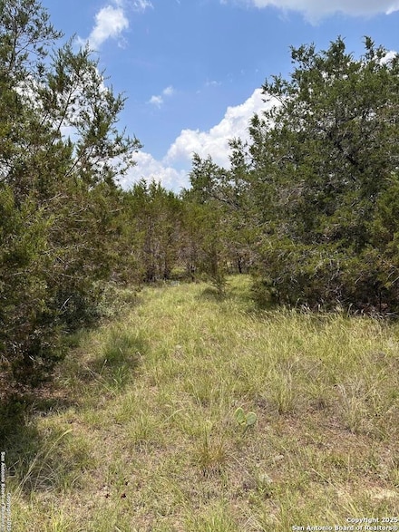 811 Turkey Canyon Dr, Spring Branch, TX 78070