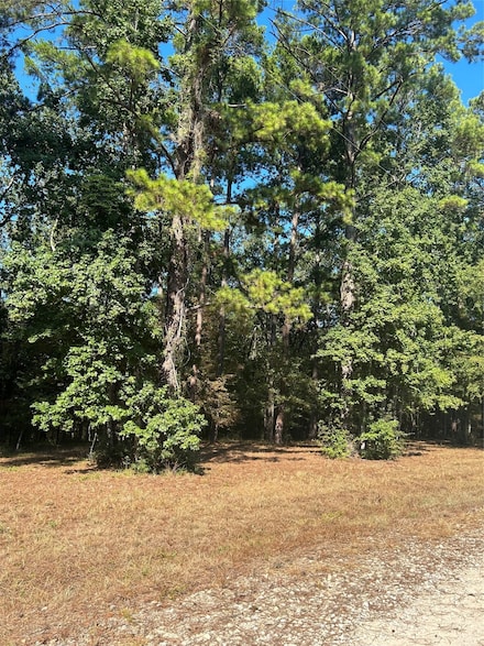 575859 Grand Pine Loop, Livingston, TX 77351