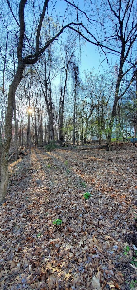0 Foxfire Ln, Kingsport, TN 37664