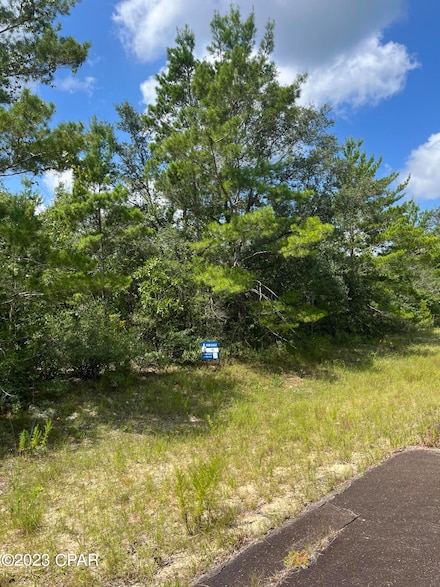 Lot 15 Curry Place, Chipley, FL 32428