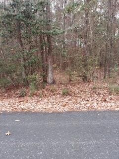 Lot 211 Prices Bridge Ln, Walterboro, SC 29488