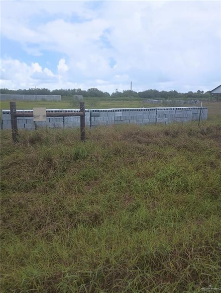 117 Esperanza St S, Weslaco, TX 78599