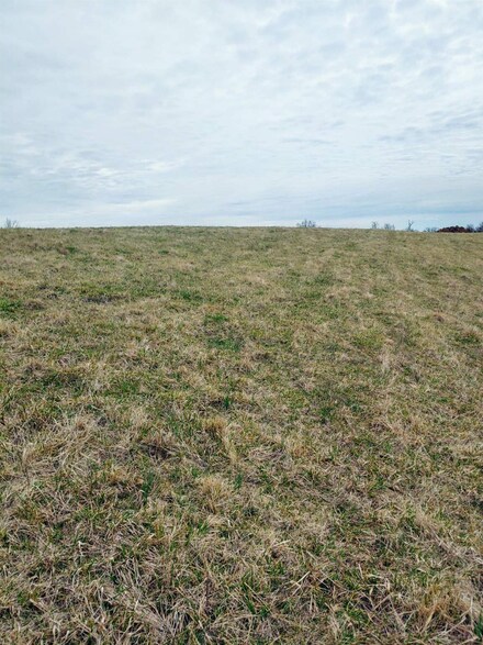 Tract #9 Stone Ln, Sadieville, KY 40370