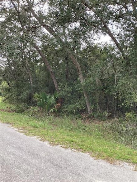 0 Locust Terrace Trace Unit OM646953, Ocala, FL 34472