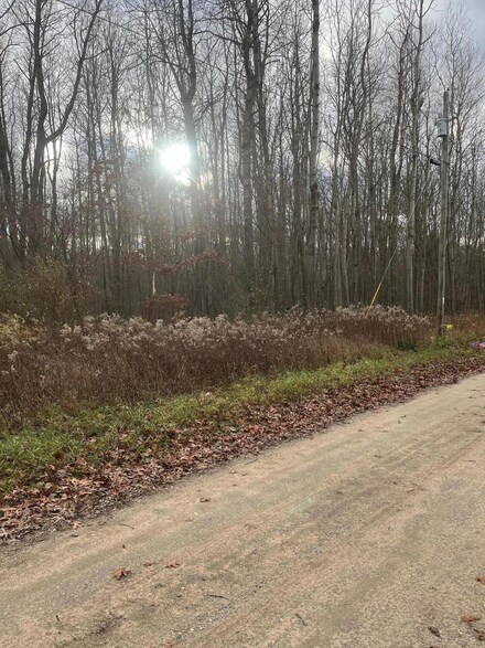 Lot 3 Pakes Rd, Stanton, MI 48888