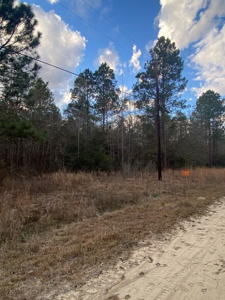 0-6 Robin Rd, Swainsboro, GA 30401