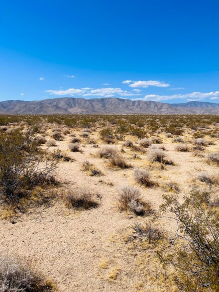0 Firethorn Way Unit 219116286DA, Johnson Valley, CA 92285