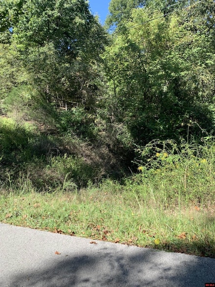 LOTS 16 & 17 South St, Midway, AR 72651
