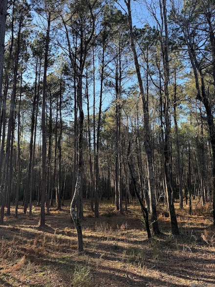 TBD Lot X-1 Scott Barr Rd, Slaughter, LA 70777
