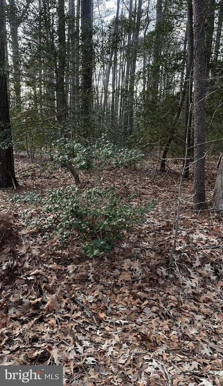 Lot 33 Richardson St, Hague, VA 22469