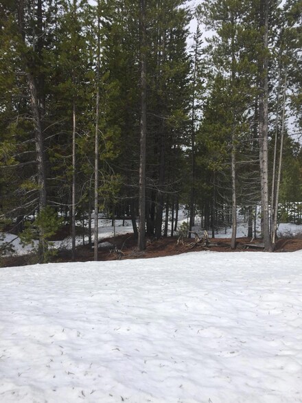 54 Royce Mountain Way, Crescent Lake, OR 97733