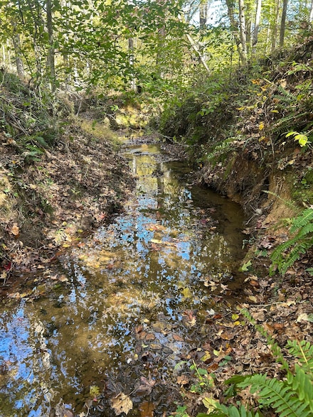 1000 Gary Rd, Carlisle, SC 29031