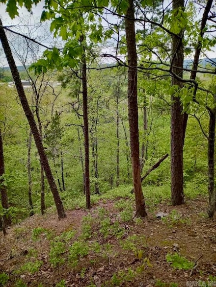 000 Caddo Hills Ln, Caddo Gap, AR 71935