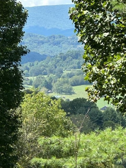 TBD Old Bridle Creek Rd, Independence, VA 24348