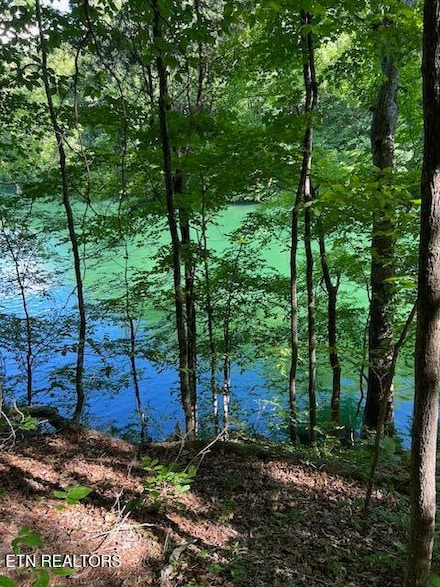 62 Cheri Ln, Caryville, TN 37714