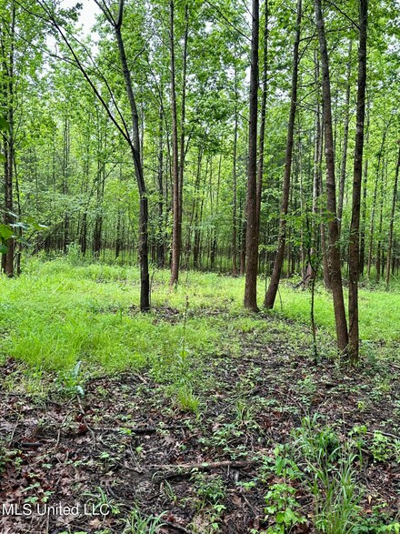 0 McClyde Rd, Como, MS 38619