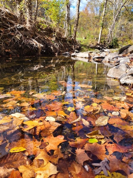 3536 Jr Rannells Rd, Points, WV 25437